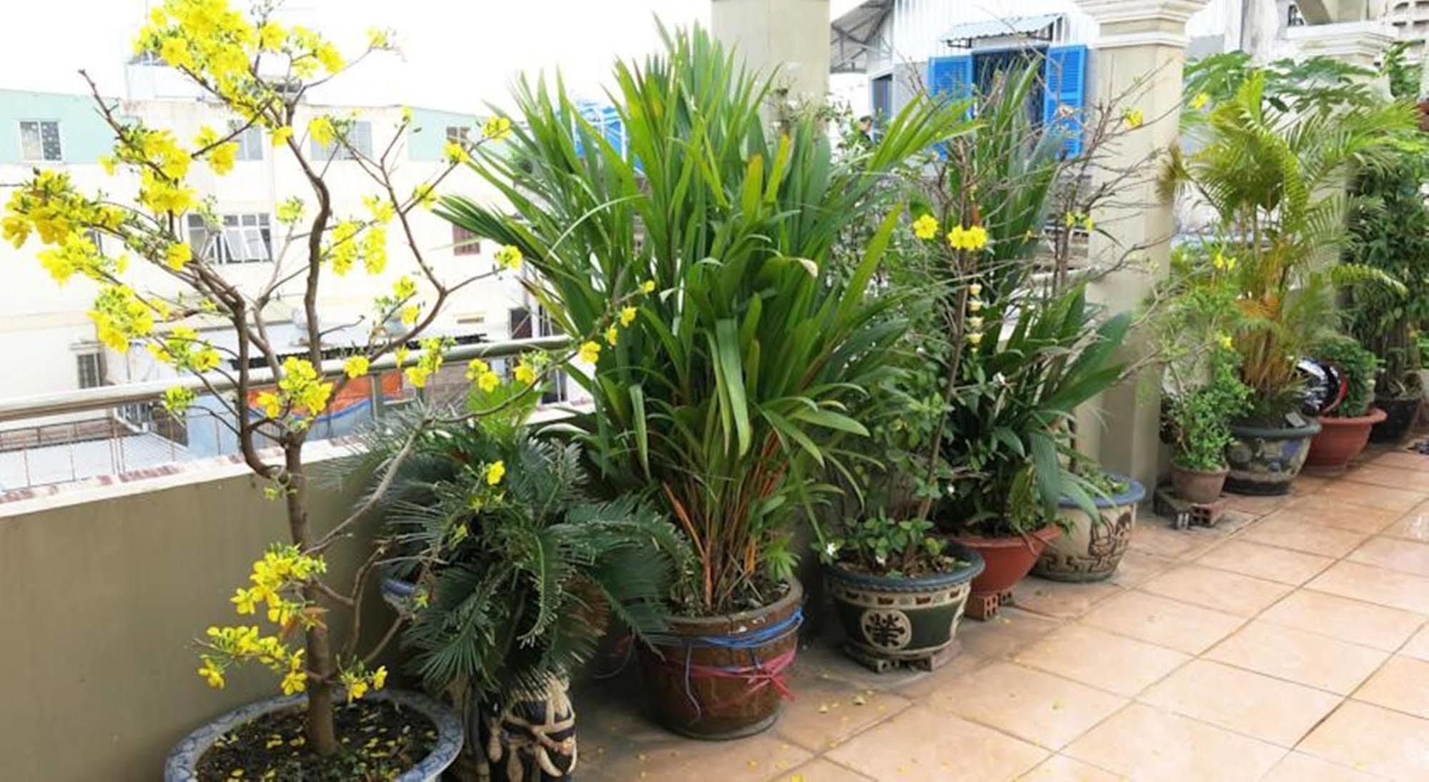 Banana Leaf Hotel Ho Chi Minh City Exterior photo